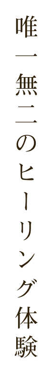 唯一無二のヒーリング体験